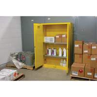 Flammable Storage Cabinet, 45 gal., 2 Door, 43" W x 65" H x 18" D Dufferin Supply