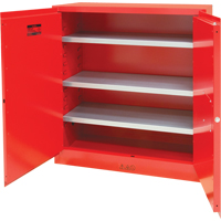 Armoire pour peintures et encres, 45 gal., 3 tablettes Dufferin Supply