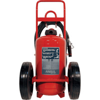 Red Line<sup>®</sup> Wheeled Fire Extinguishers, BC, 150 lbs. Capacity SDN839 | Dufferin Supply