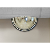 180° Dome Mirror, Half Dome, Closed Top, 18" Diameter Dufferin Supply
