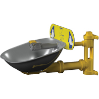 Poste de douche oculaire Halo, Installation Montage mural, Bol Acier inoxydable Dufferin Supply