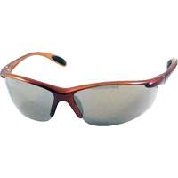 Lunettes de sécurité & accessoires
