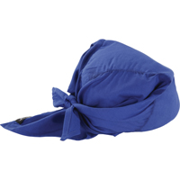 Foulards de refroidissement en triangle Chill-Its 6710CT, Bleu Dufferin Supply