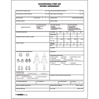 Patient Assessment Chart SEE693 | Dufferin Supply