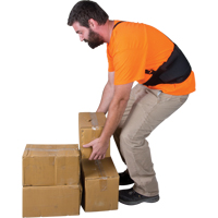 Support lombaire, &eacute;lastique, Moyen Dufferin Supply