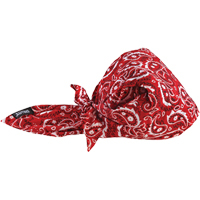 Bandeaux en triangle 6710CT de refroidissement en tissu de serviette Chill-Its, Rouge Dufferin Supply
