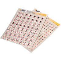 Assortiment d'&eacute;tiquettes avec pictogrammes sgh, Vinyle, Feuille, 1" lo x 1" la Dufferin Supply