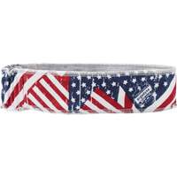 Bandana rafraîchissant Chill-Its 6605, Multicolore Dufferin Supply