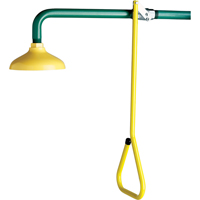 Lifesaver<sup>®</sup> Emergency Overhead Showers, Wall-Mount SF861 | Dufferin Supply