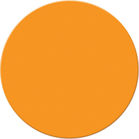 Marqueurs all&eacute;g&eacute;e/5S Armor Stripe, Cercle, 6" lo x 6" la, Orange, Plastique Dufferin Supply