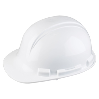 Dynamic Whistler Hardhat, Meets CSA Type 1, Ratchet Suspension, Non-Vented Dufferin Supply