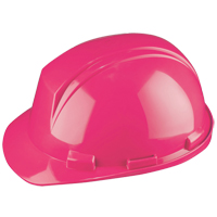 North&reg; Mont-Blanc Hardhat, Meets CSA Type 2, Ratchet Suspension, Non-Vented Dufferin Supply