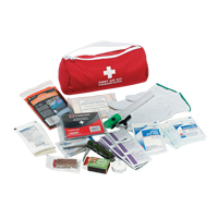 Trousse de premiers soins pour auto Dynamic, Dispositif m&eacute;dical Classe 1, Sac en nylon Dufferin Supply
