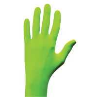Gants N-Dex, Petit, Nitrile, 5 mils, Sans poudre, Vert Dufferin Supply