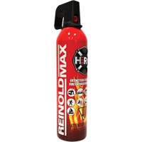 Fire Extinguisher, ABC/K, 2 lbs. Capacity SGC461 | Dufferin Supply