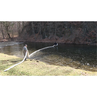 SpillBoa Bale, Oil Only, 25' L x 5" W, 28 gal. Absorbancy, 4 /Pack Dufferin Supply