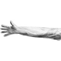 Disposable Gloves, Large, Polyethylene, 9-mil, Powdered, Clear SGF113 | Dufferin Supply