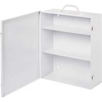 Medicine Cabinet (Empty) SGH442 | Dufferin Supply
