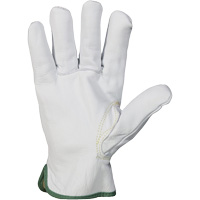 Gants r&eacute;sistant &agrave; la coupure et &agrave; l'arc &eacute;lectrique Endura, T-petit, 10" lo, 36 cal/cm², Niveau 3, NFPA 70E Dufferin Supply