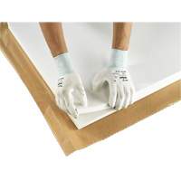 PX140 Coated Gloves, 6/X-Small, Polyurethane Coating, 15 Gauge, Nylon Shell Dufferin Supply