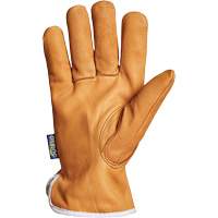 Gants de conducteur Endura, Petit, Paume en Cuir fleur de ch&egrave;vre, Thinsulate Dufferin Supply