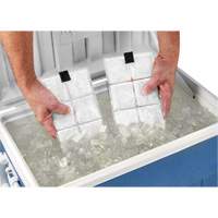 Sachets pour veste de refroidissement &agrave; changement de phase 6260 Chill-Its Dufferin Supply