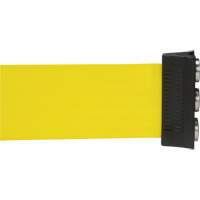 Wall Mount Barrier with Magnetic Tape, Steel, Screw Mount, 12', Yellow Tape Dufferin Supply