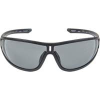 Z3000 Series Safety Glasses, Grey/Smoke Lens, Anti-Fog/Anti-Scratch, ANSI Z87+/Meets/Exceeds CSA Z94.3 Dufferin Supply
