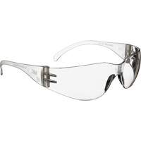 Virtua Safety Glasses, Clear Lens, Anti-Fog, Meets/Exceeds CSA Z94.3 Dufferin Supply