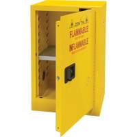 Armoire pour produits inflammables, 12 gal., 1 Porte(s), 23" La x 35" h x 18" p Dufferin Supply