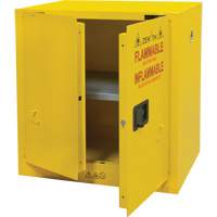 Flammable Storage Cabinet, 22 gal., 2 Door, 35" W x 35" H x 22" D Dufferin Supply