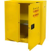 Flammable Storage Cabinet, 30 gal., 2 Door, 43" W x 44" H x 18" D Dufferin Supply