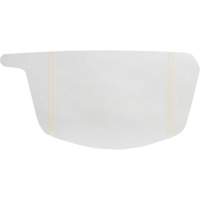 Primair&reg; 900 Series Peel-Off Visor Cover Dufferin Supply