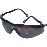 Lunettes de s&eacute;curit&eacute; North The Edge, Lentille Fum&eacute;e, Antibu&eacute;e/Anti-&eacute;gratignures, R&eacute;pond ou surpasse la norme CSA Z94.3 Dufferin Supply