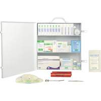 First Aid Kit, CSA Type 2 Low-Risk Environment, Large (51-100 Workers), Metal Box SHC215 | Dufferin Supply