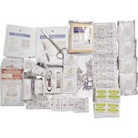Shield™ Basic First Aid Kit Refill, CSA Type 2 Low-Risk Environment, Small (2-25 Workers) SHJ863 | Dufferin Supply