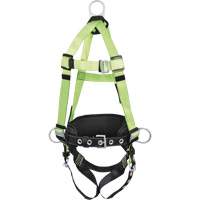 FBH10020A1020-S  Contractor Series Safety Harness, CSA Certified, Class AP, Small Dufferin Supply