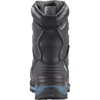 Bottes de s&eacute;curit&eacute; Ice Monster pour hommes, Cuir, Semelle R&eacute;sistant aux perforations, Pointure 7 Dufferin Supply