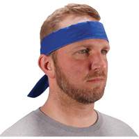 Chill-Its 6702 Cooling Headband with Embedded Polymers & Tie Closure, Blue Dufferin Supply