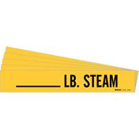 "LB. Steam" Pipe Markers, Self-Adhesive, 2-1/4" H x 2-3/4" W, Black on Yellow Dufferin Supply