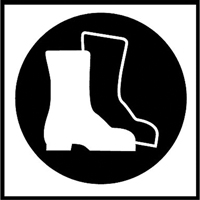 &eacute;tiquettes avec pictogramme Right to Know - Bottes, Vinyle, Feuille, 5/8" lo x 3/4" la Dufferin Supply