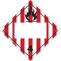 Plaque-&eacute;tiquette TMD pour solides inflammables, Vinyle adh&eacute;sif Dufferin Supply