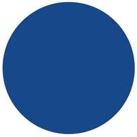 Round Write-On Labels, Circle, 1.5" L x 1.5" W, Blue SY630 | Dufferin Supply
