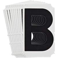Quick-Align<sup>®</sup> Individual Gothic Number and Letter Labels, B, 4" H, Black SZ990 | Dufferin Supply