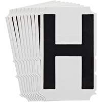 Quick-Align<sup>®</sup>Individual Gothic Number and Letter Labels, H, 4" H, Black SZ996 | Dufferin Supply
