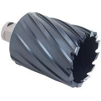 ICECUT Annular Cutter, 1/2" Diameter, Chromium Aluminum, 2" Depth of Cut, 3/4" Shank Dufferin Supply