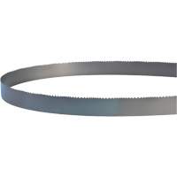 Welded Bandsaw Blade, Bi-Metal, 14' L x 1" W x 4 - 6 TPI Dufferin Supply