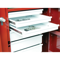 &eacute;tabli roulant, 49-7/8" la x 40-5/8" h x 26-7/8" p, Capacit&eacute; de 24,6 pi³ Dufferin Supply