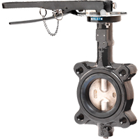 Butterfly Valves - Series BFV, 2" Pipe, 225 PSI Dufferin Supply