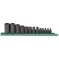Jeu de douilles externes Torx, Prise 1/2"/1/4"/3/8" Dufferin Supply